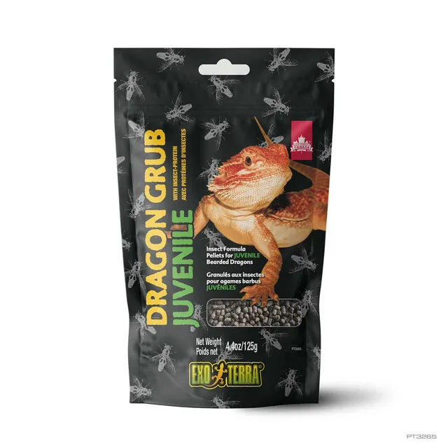 exo-terra-dragon-grub-juvenile-125-g-insektenfutter-f-r-junge-reptilien image 1