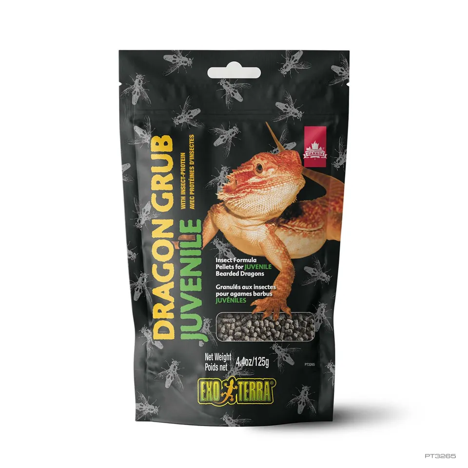exo-terra-dragon-grub-juvenile-125-g-insektenfutter-f-r-junge-reptilien image 1