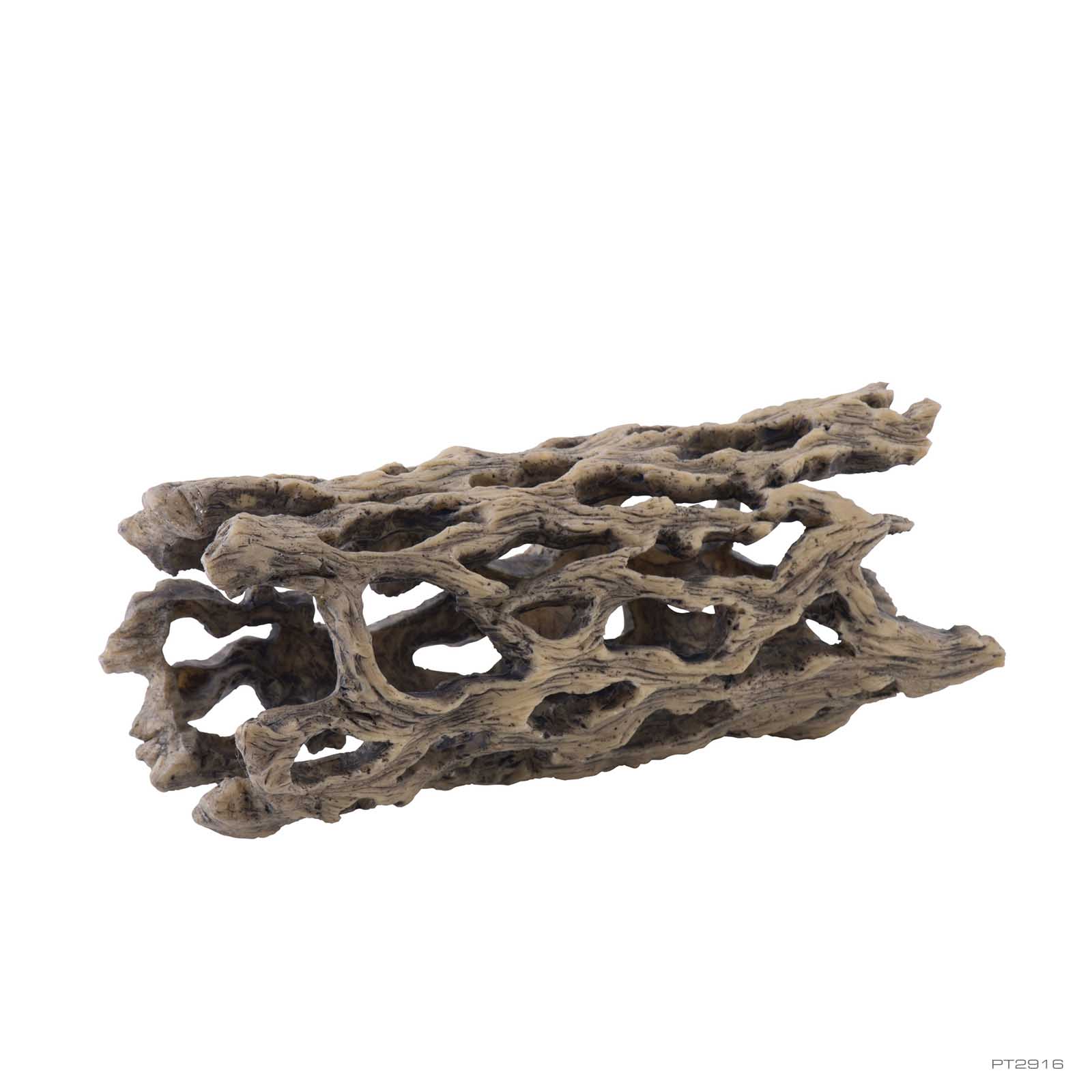 exo-terra-cholla-cactus-medium-terrarien-deko-und-versteck image 1