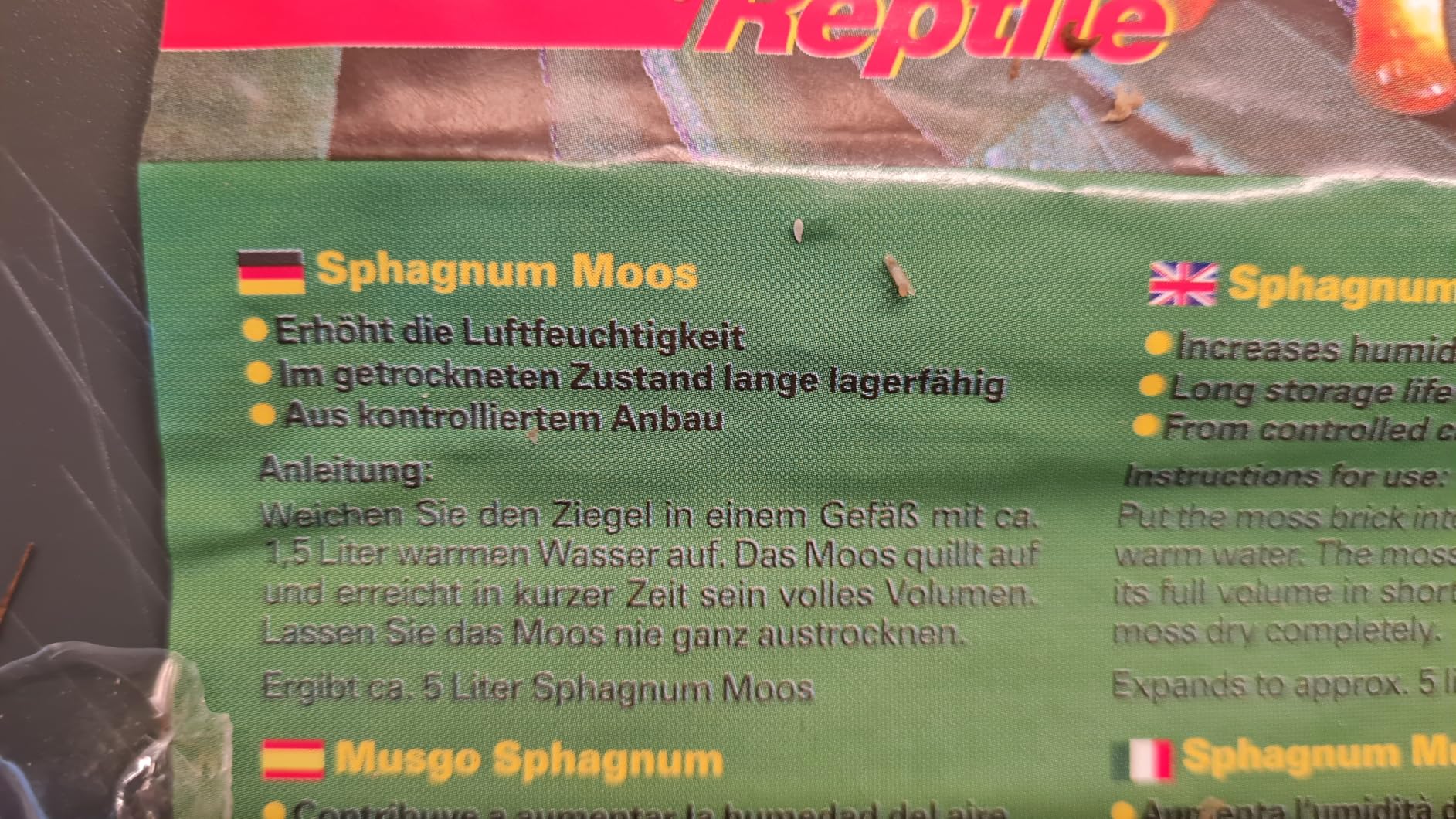 Super für die Häutung