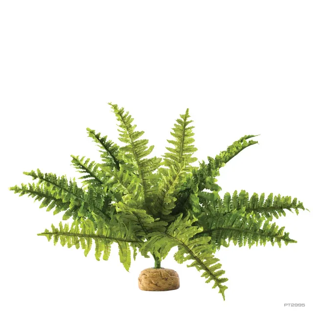exo-terra-boston-fern-kunstpflanze-medium image 1