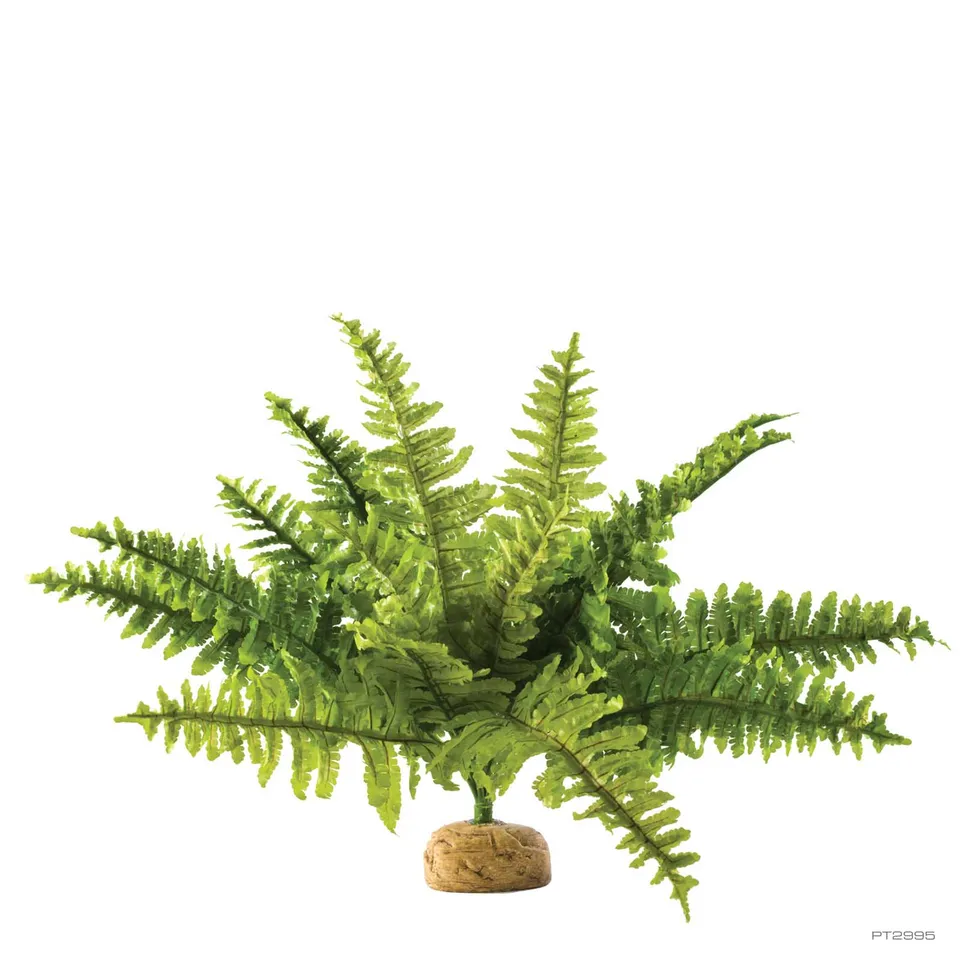 exo-terra-boston-fern-kunstpflanze-medium image 1