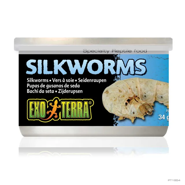 exo-terra-silkworms-dosenfutter-34-g-1-2-oz-seidenraupen-f-r-reptilien image 1