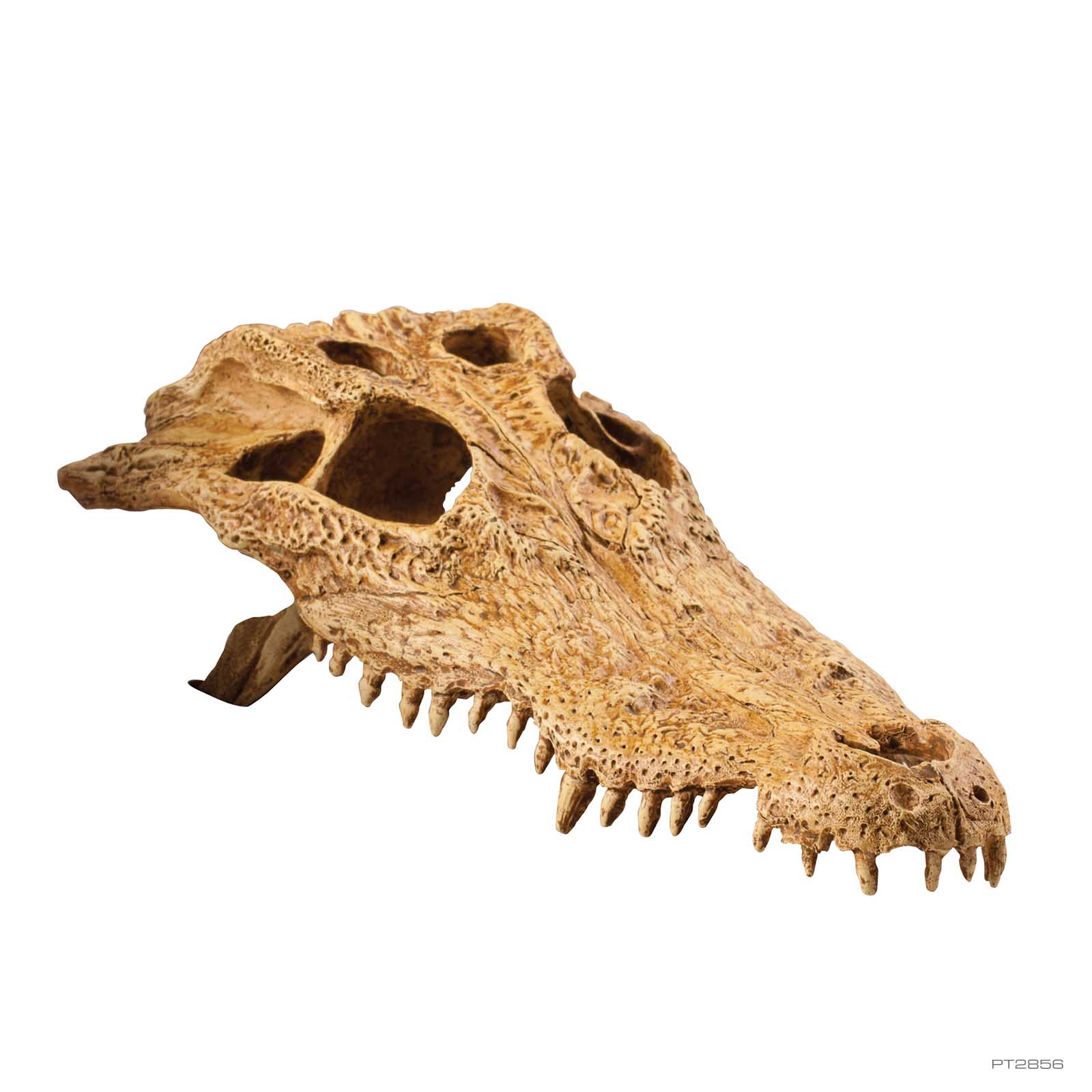 exo-terra-crocodile-skull-h-hle-sch-del-versteck-f-r-terrarien image 1