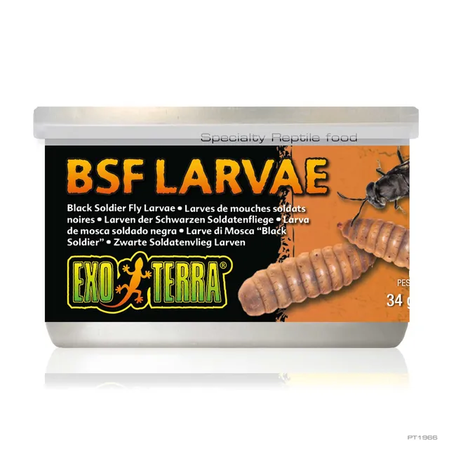 exo-terra-bsf-larvae-dosenfutter-34-g-1-2-oz-soldatenfliegenlarven image 1