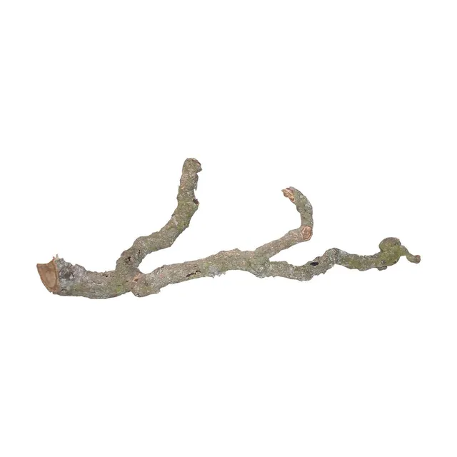 lucky-reptile-tronchos-kork-ste-90-120-cm-kletternaturdeko image 1