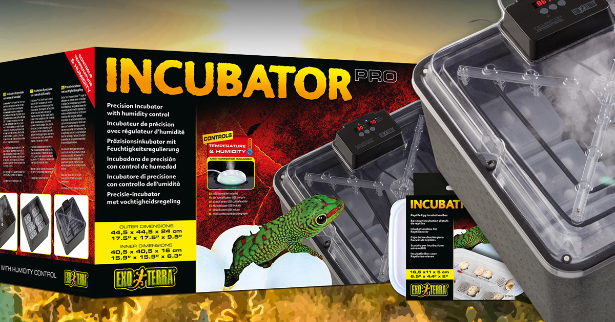 exo-terra-incubation-box-brutbox-suspended-incubation-method image 1