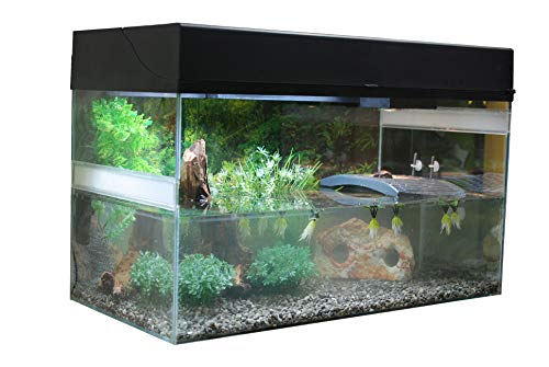 lucky-reptile-starter-kit-wasserschildkr-te-80-cm-schwarz image 6