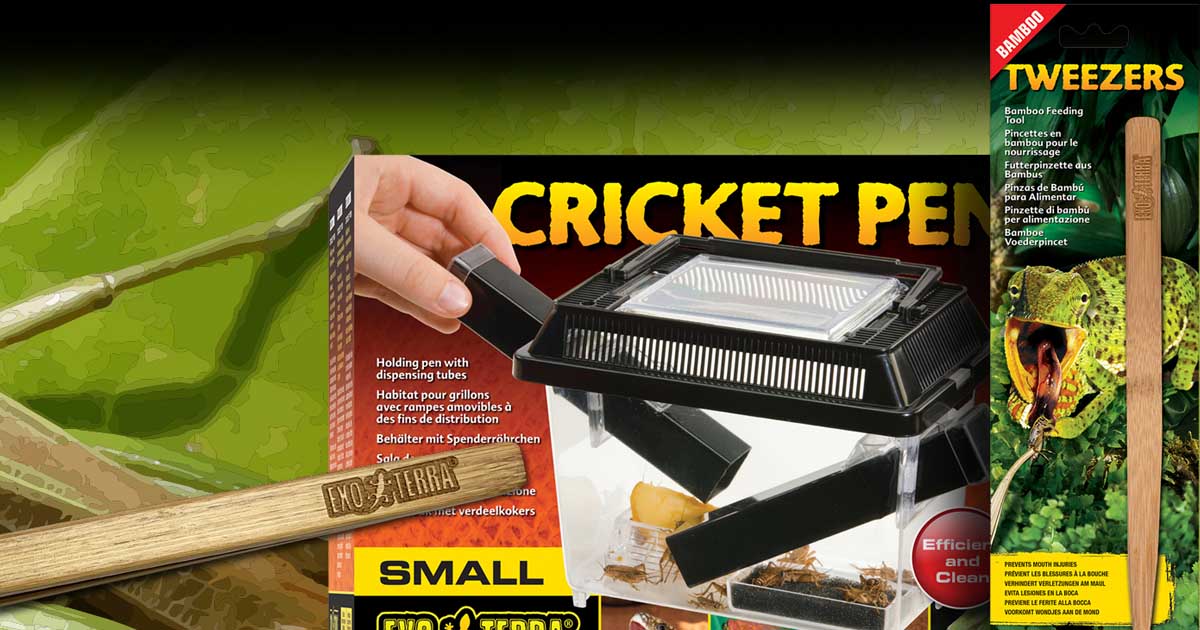 exo-terra-feeding-tools-futterpinzette-cricket-pen-zubeh-r image 1