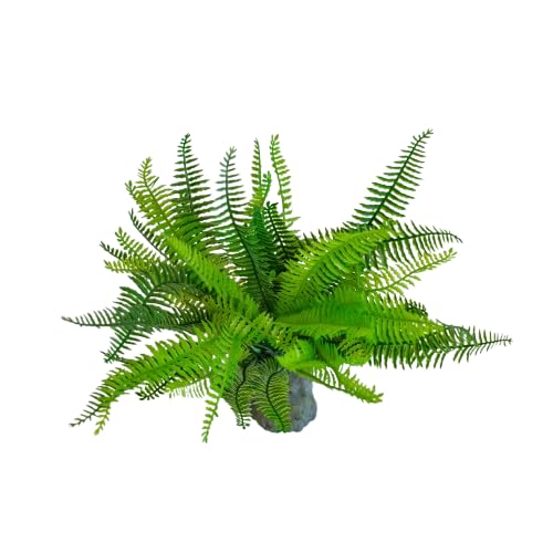 lucky-reptile-farn-terrariendeko-25-cm-auf-steinsockel image 2