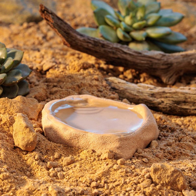 exo-terra-terrarium-dish-small-wasserschale image 5