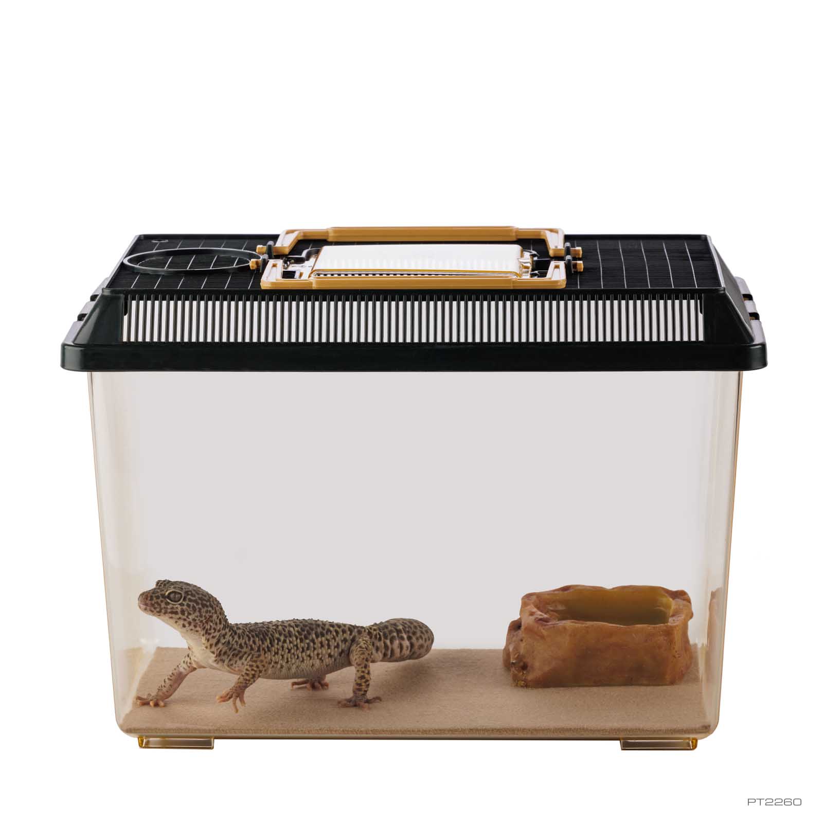 exo-terra-faunarium-medium-kunststoff-terrarium-stapelbar image 4