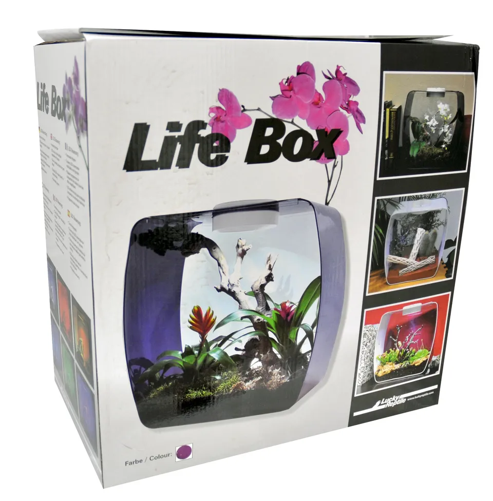 lucky-reptile-lb-30op-life-box-30-designterrarium-acrylglas-beere-30x18x30-cm image 1