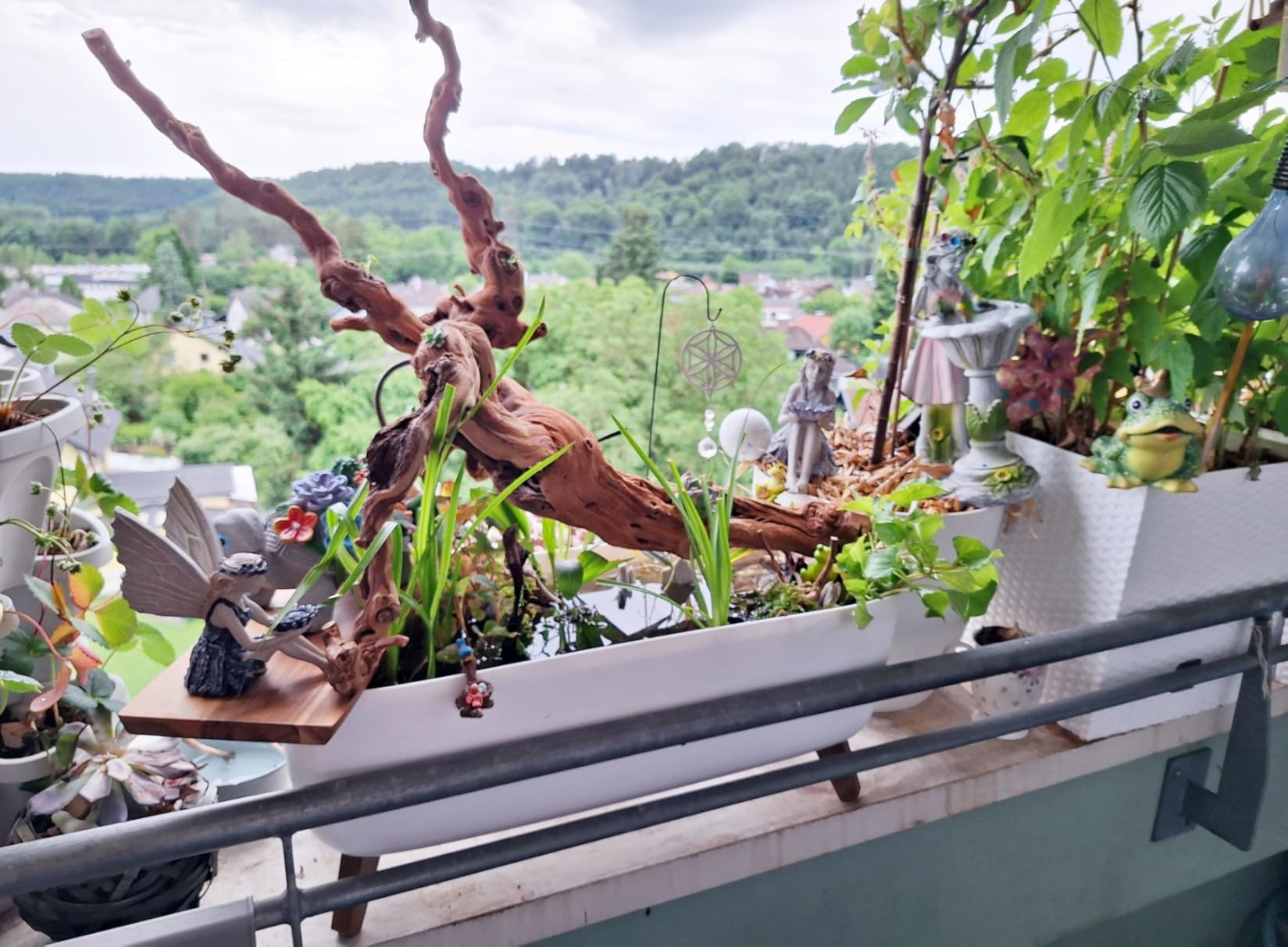 Top Deko fürs Bartagamen-Terrarium