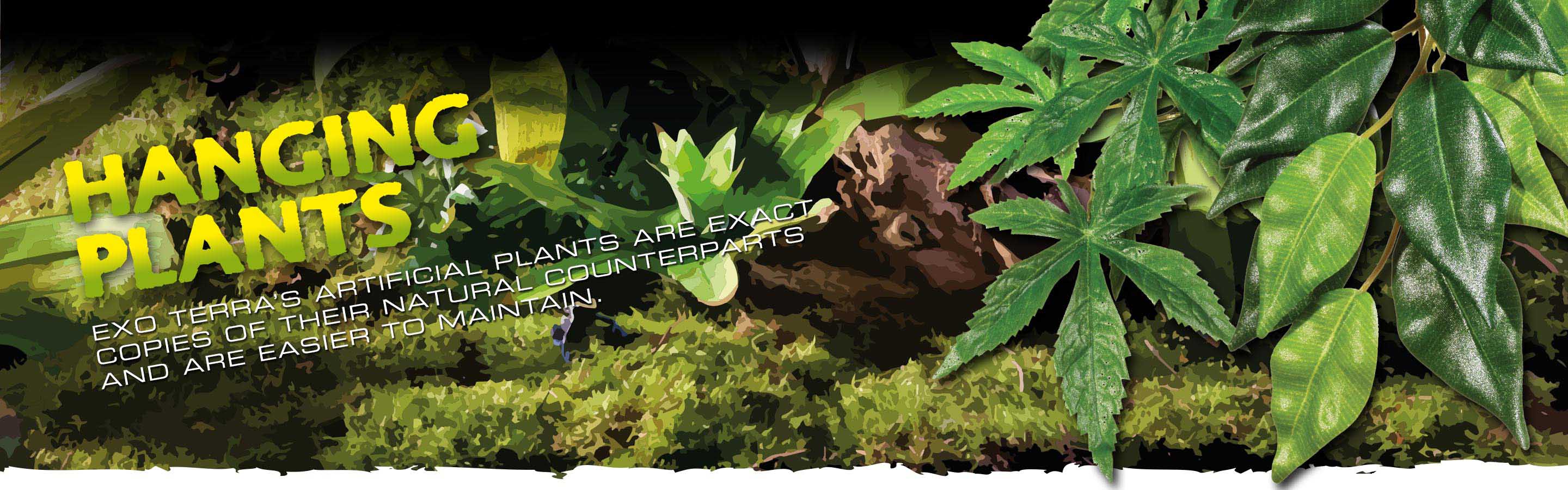 exo-terra-hanging-plants-h-ngepflanze-k-nstlich image 2