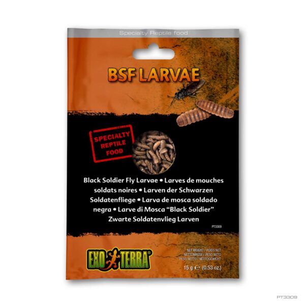 exo-terra-treats-insekten-snack-dragon-grub-futter image 3