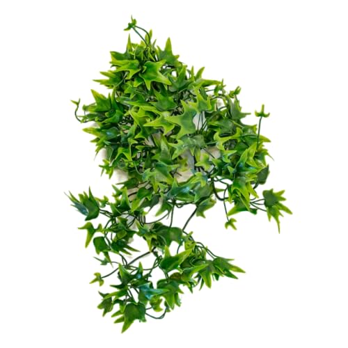 lucky-reptile-efeu-64567-h-ngepflanze-terrariendeko-150-g image 3