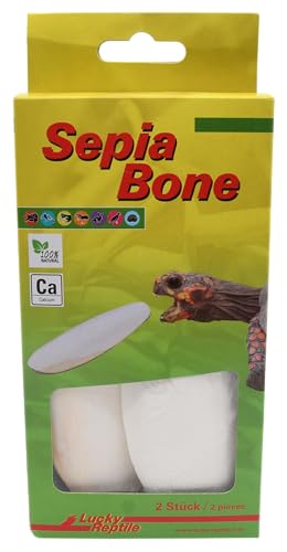 lucky-reptile-sepia-bone-s-doppelpack-unter-16-cm-sepiaschale image 4