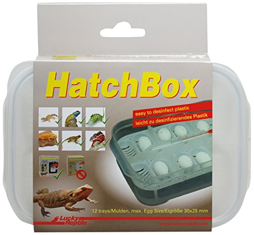 lucky-reptile-hatchbox-brutbox-f-r-reptilieneier-inkubationsbox-f-r-12-eier-bis- image 8
