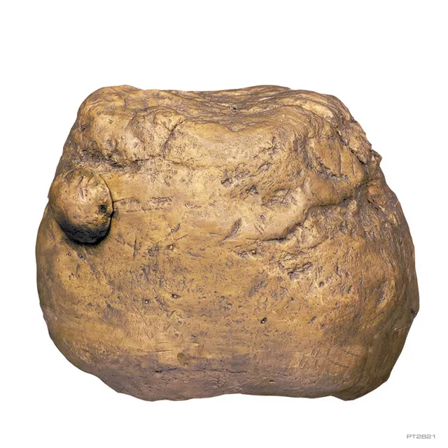 exo-terra-feeding-rock-futterstation-f-r-futterinsekten image 1
