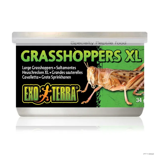 exo-terra-grasshoppers-xl-grash-pfer-34-g image 1