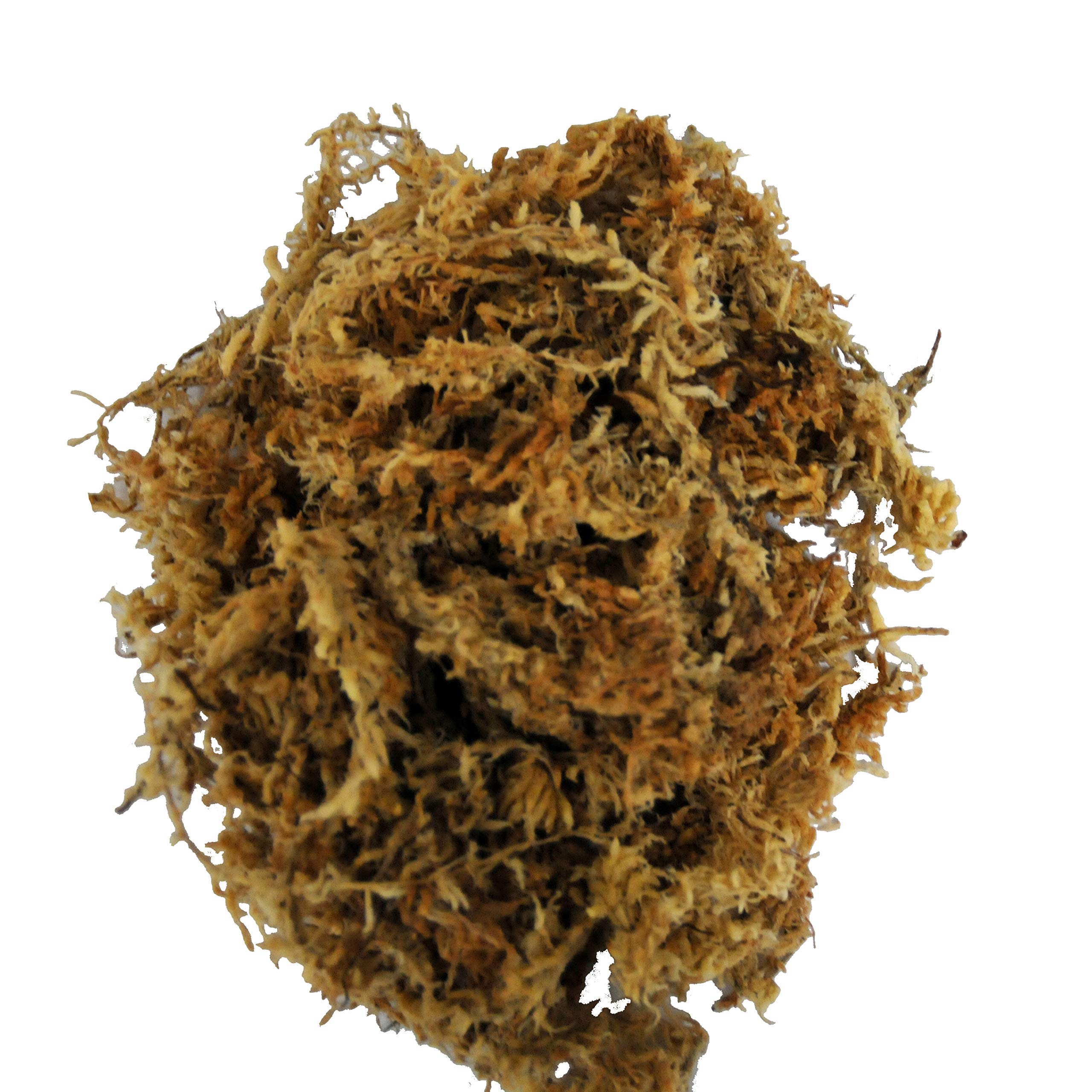 lucky-reptile-sphagnum-moos-ziegel-terrarienmoos-25-liter image 2