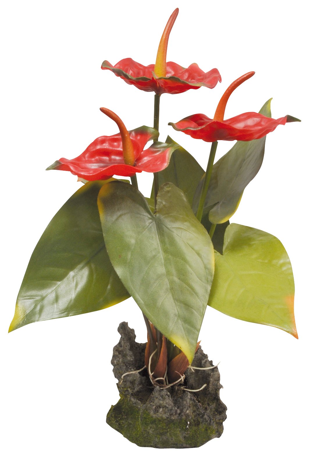 lucky-reptile-if-31-anthurium-kunststoffpflanze-mit-fu-wei image 2