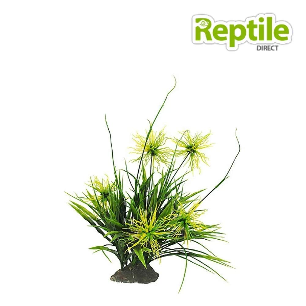 lucky-reptile-tiger-aloe-kunstpflanze-auf-steinsockel-ca-8-cm image 2
