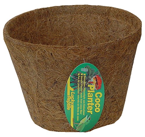 lucky-reptile-coco-planter-klein-pflanztopf-aus-kokosfasern image 6