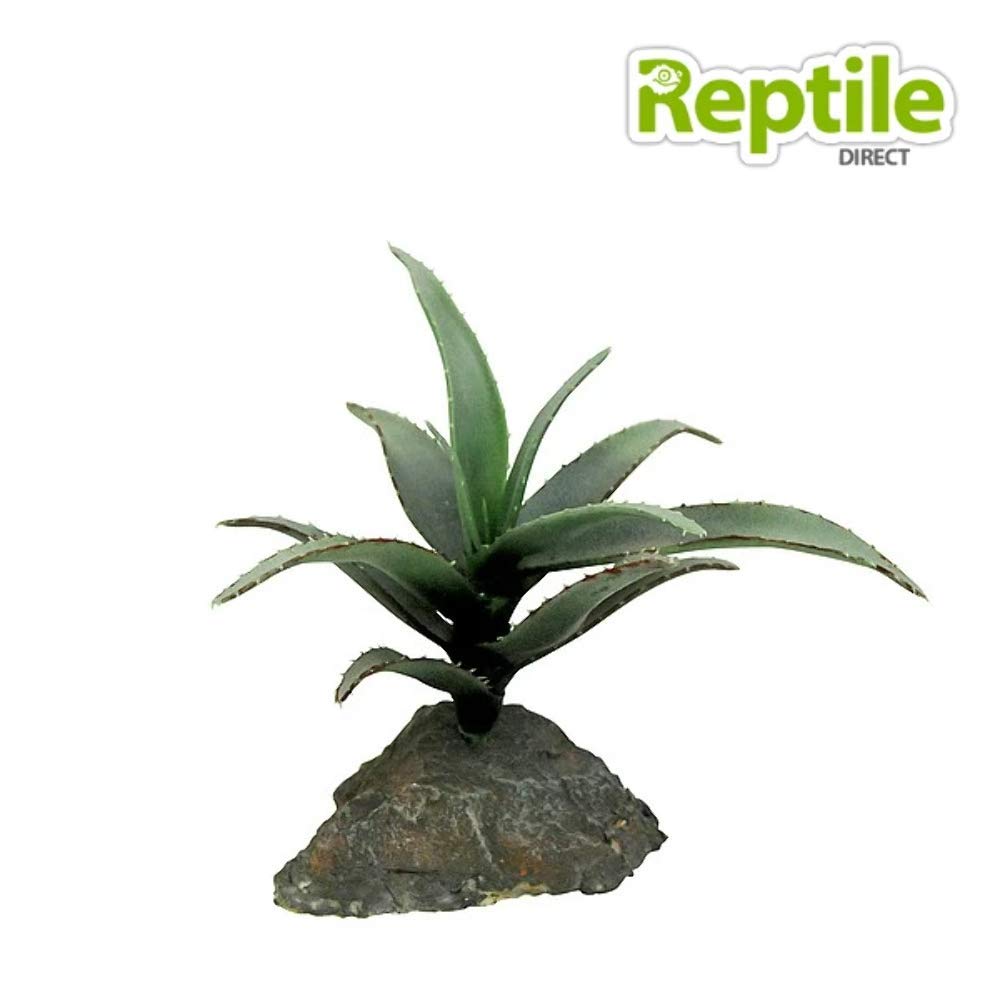 lucky-reptile-kalahari-busch-kunstpflanze-ca-40-cm image 4