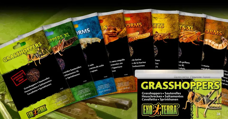 exo-terra-treats-insekten-snack-dragon-grub-futter image 1