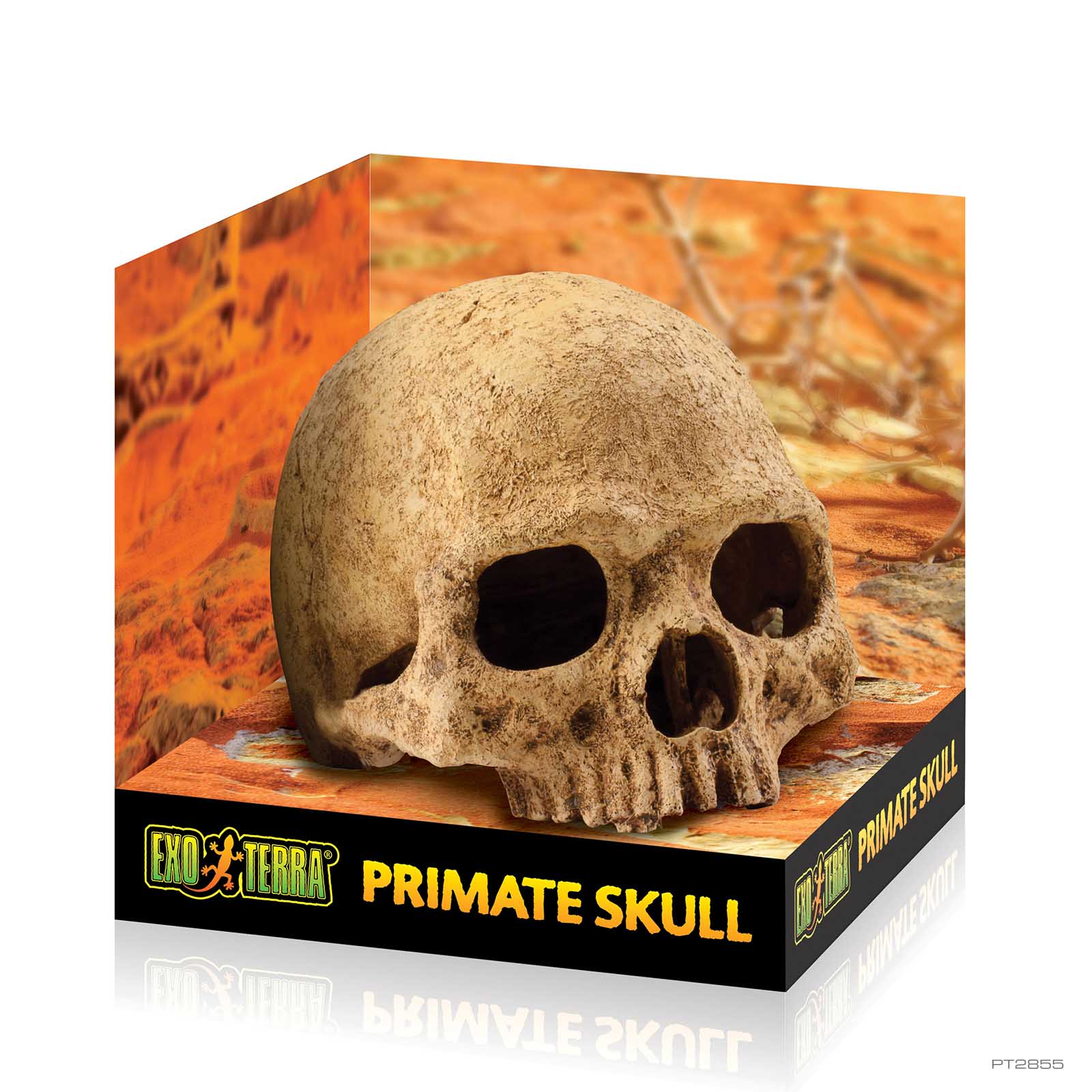 exo-terra-primate-skull-sch-del-versteck-reptile-den-h-hle image 2
