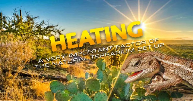 exo-terra-substrate-heater-bodenheizmatte-f-r-terrarien image 1