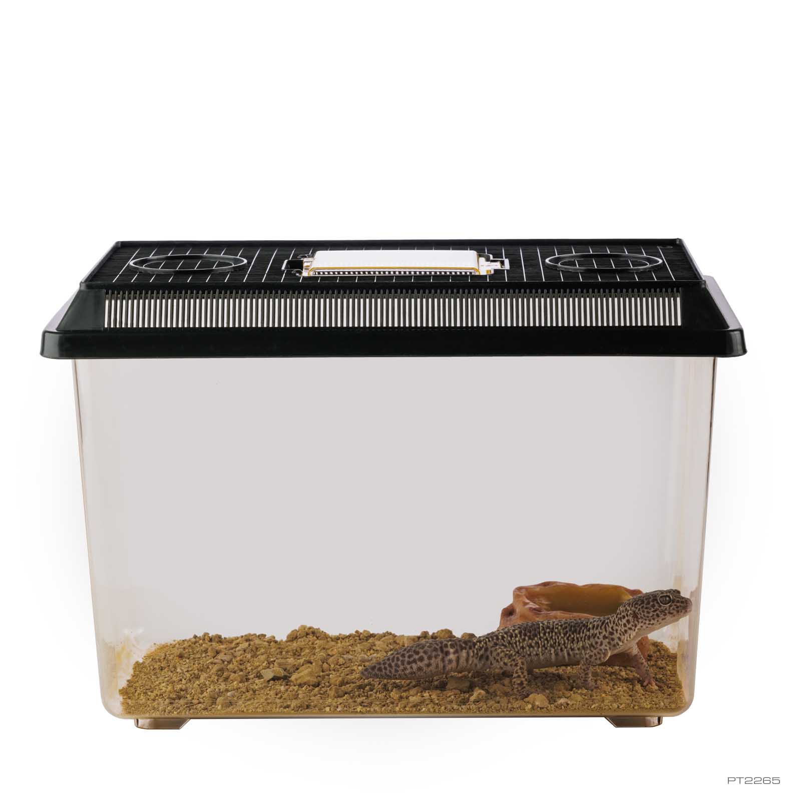 exo-terra-faunarium-large-kunststoff-terrarium-box image 4
