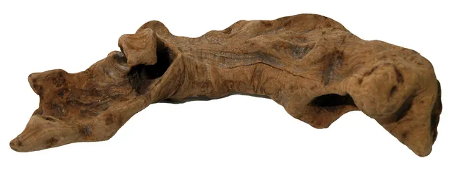 lucky-reptile-ow-s-opuwa-holz-klein-s-terrariendekoration-naturbelassen image 1