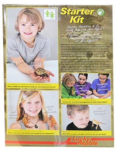 lucky-reptile-starter-kit-bartagame-80x40x52-cm-schwarz-komplett-terrarium image 8