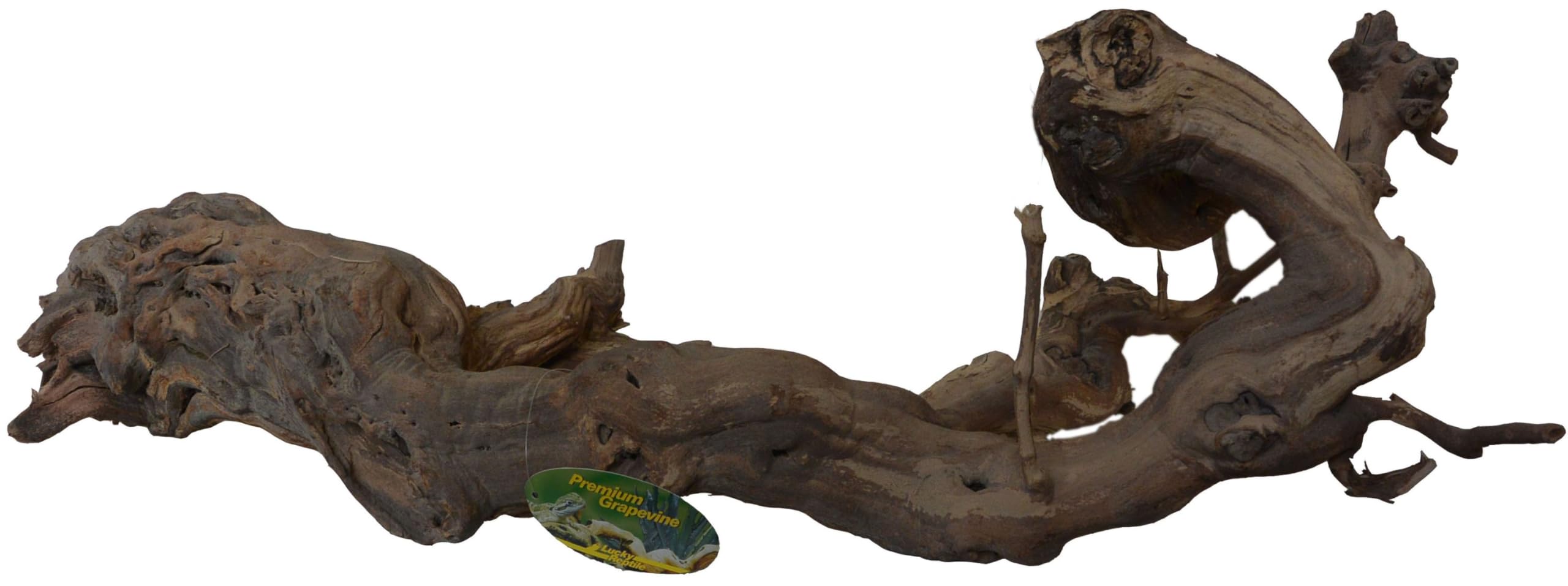 lucky-reptile-rebholz-terrarium-deko-gr-e-mittel image 8
