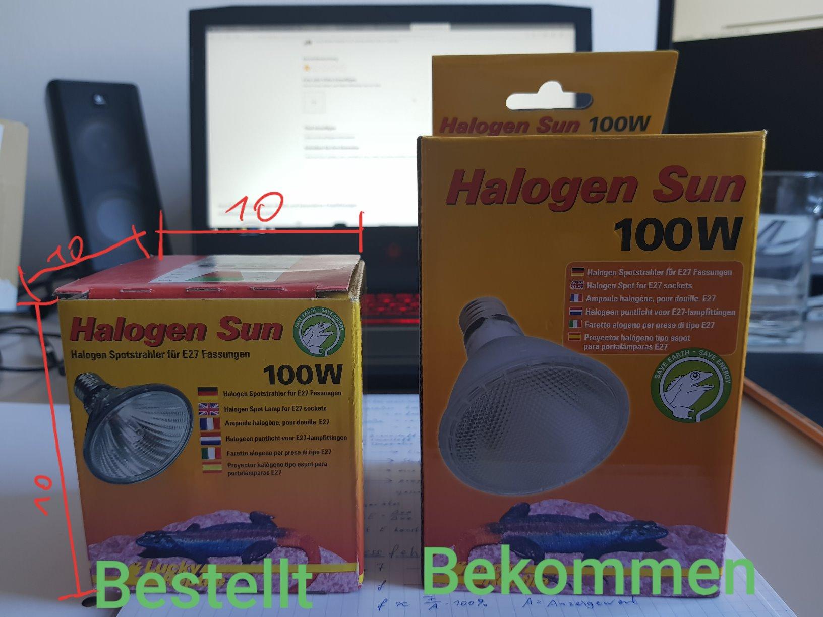 Meine Bartagame liebt sie