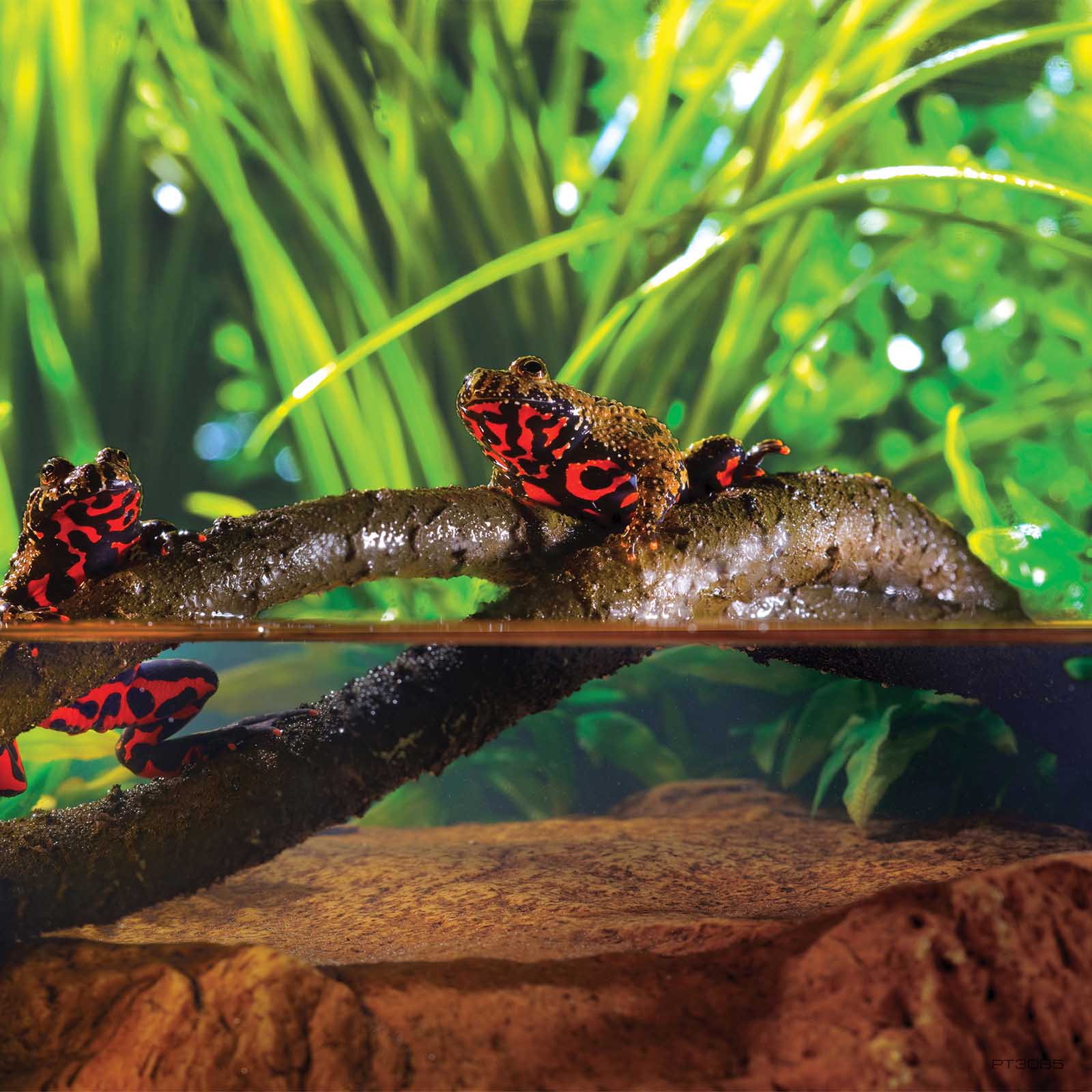 exo-terra-jungle-vines-small-biegsame-lianen-f-r-terrarium image 3