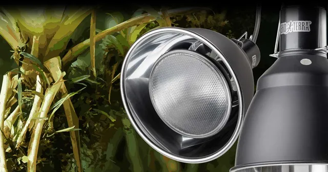 exo-terra-dome-fixture-w-rmelampenfassung-mit-reflektor image 1