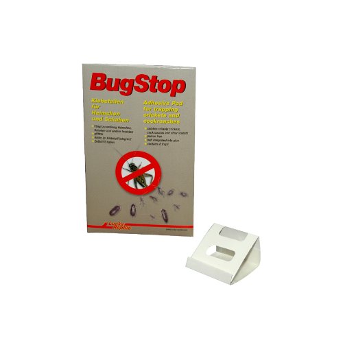 lucky-reptile-bug-stop-klebefallen-giftfreie-insektenfalle-f-r-heimchen-und-scha image 3