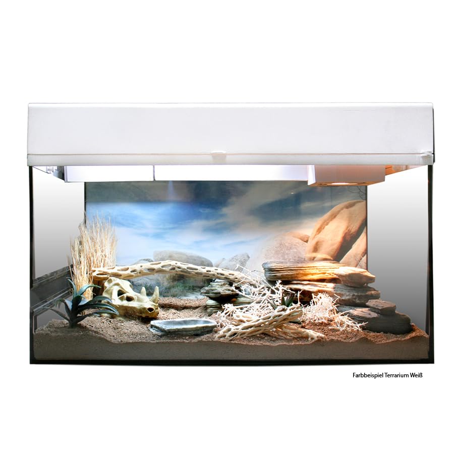 lucky-reptile-starter-kit-landschildkr-te-wei-80-x-40-x-52-cm-glasterrarium-komp image 2