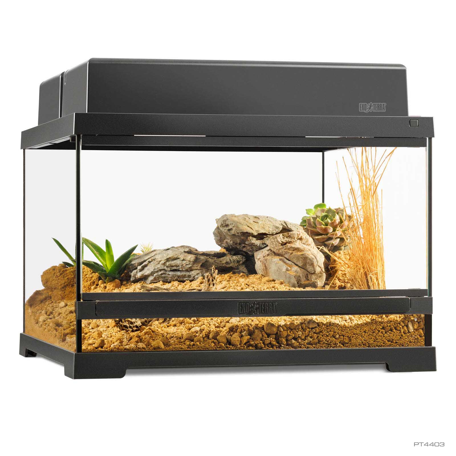 exo-terra-pro-terrarium-small-low-glasterrarium image 3