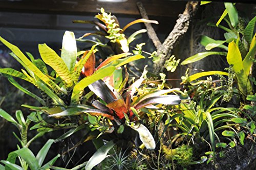 lucky-reptile-terra-fan-zusatzl-fter-temperaturgesteuerte-terrarium-bel-ftung image 8