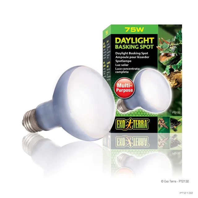 exo-terra-daylight-basking-spot-75w-w-rmespot-mit-tageslicht image 1