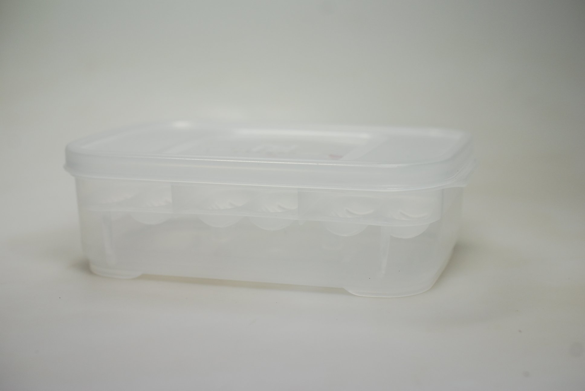 lucky-reptile-hatchbox-brutbox-f-r-reptilieneier-inkubationsbox-f-r-12-eier-bis- image 6