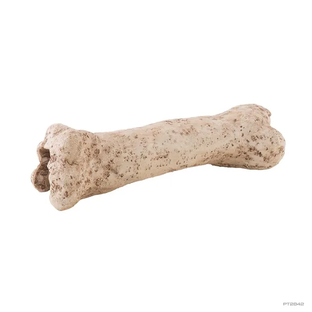 exo-terra-dinosaur-world-dinosaur-bone-terrarium-deko-versteck image 1
