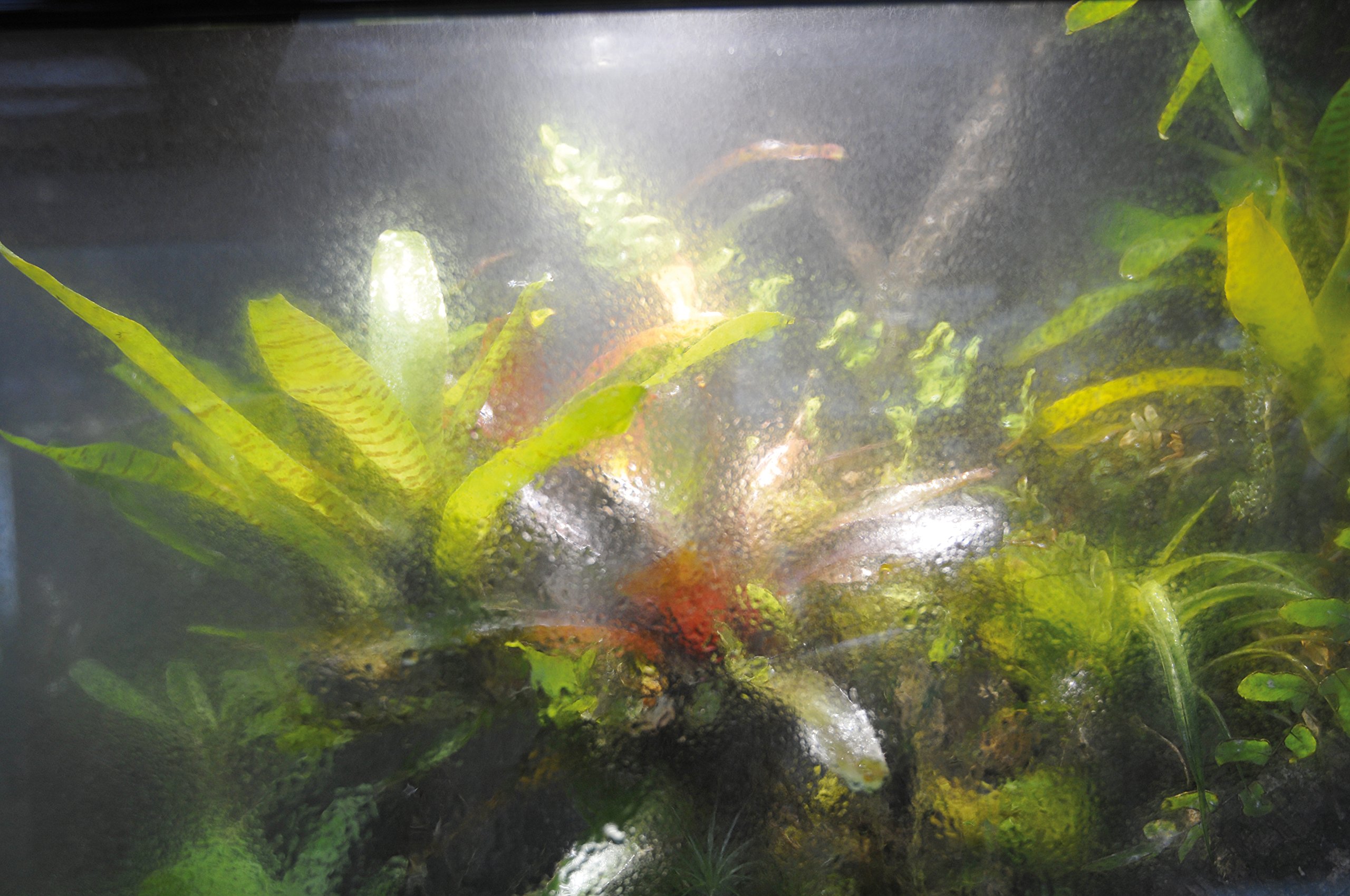 lucky-reptile-terra-fan-zusatzl-fter-temperaturgesteuerte-terrarium-bel-ftung image 4