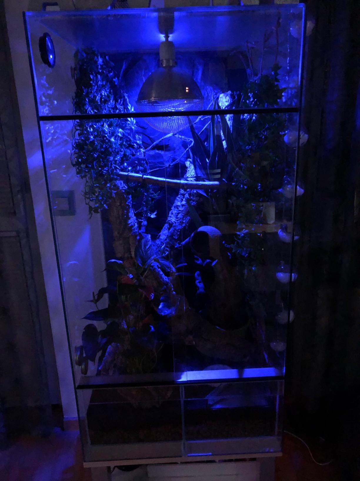 Sanftes Licht für die Nacht