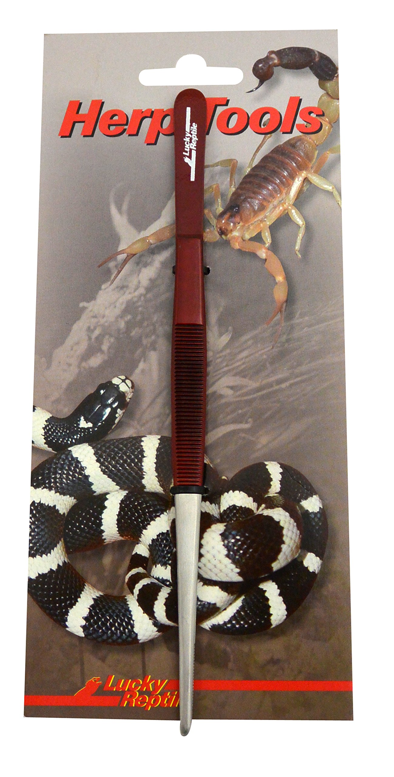 lucky-reptile-futterpinzette-gerade-14-cm image 2